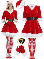 Elegant Santa Mrs Claus Costume